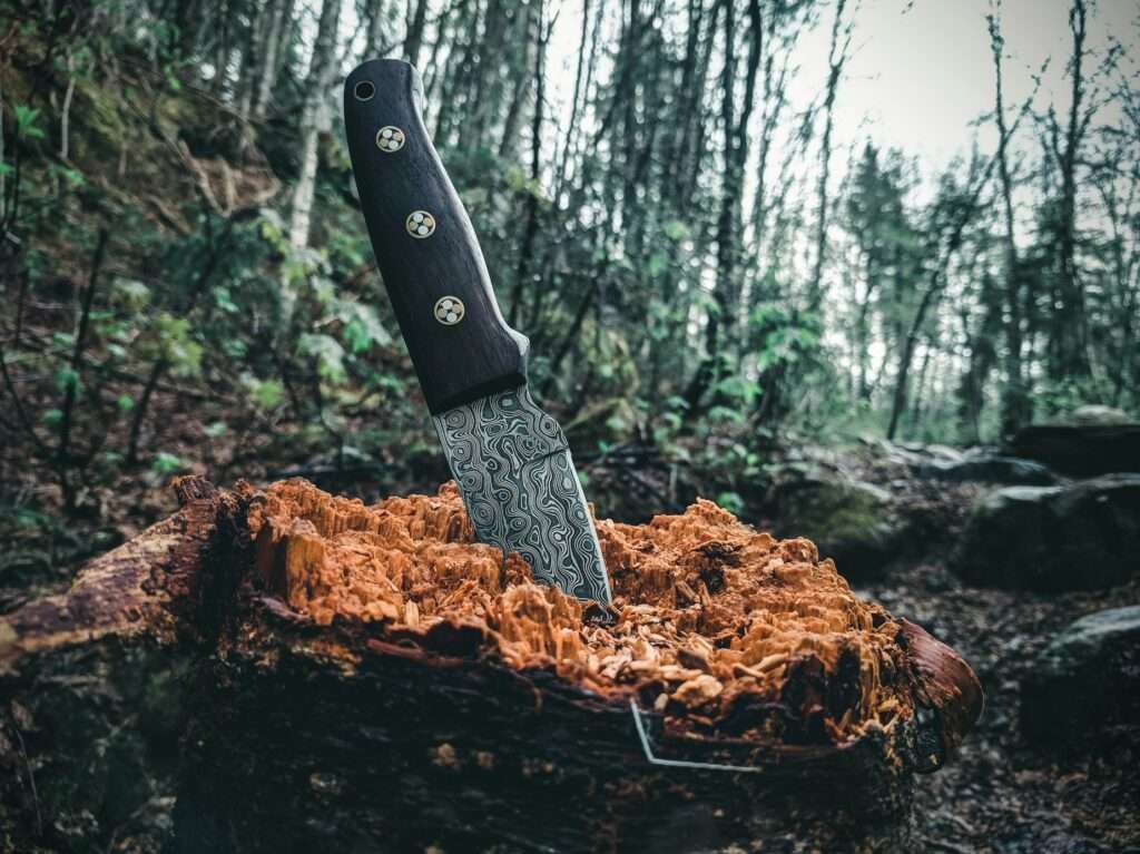 Damascus Steel Kitchen Knife